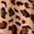 Animal Print