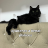 Donación para comida - Thumbnail Image 7