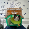 Donación para comida - Thumbnail Image 11