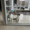 Donación para comida - Thumbnail Image 10