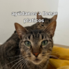 Donación para comida - Thumbnail Image 1