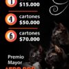 Cartón BINGO “Mala suerte, mis bigotes” - Thumbnail Image 3