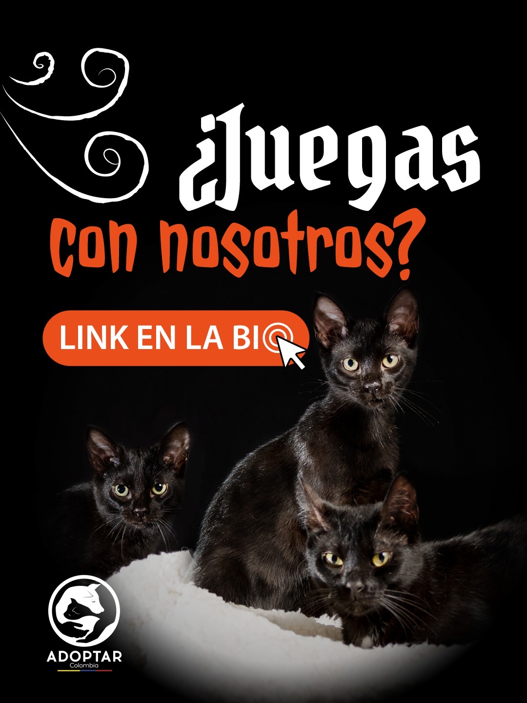 Cartón BINGO “Mala suerte, mis bigotes” - Image 4